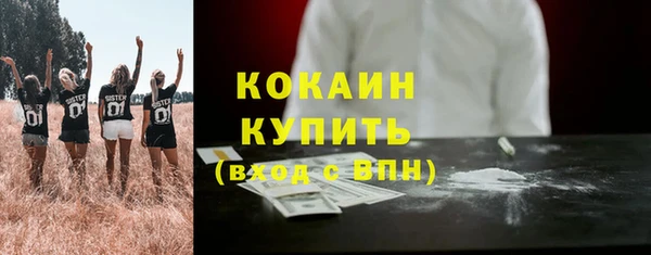 дмт Арсеньев