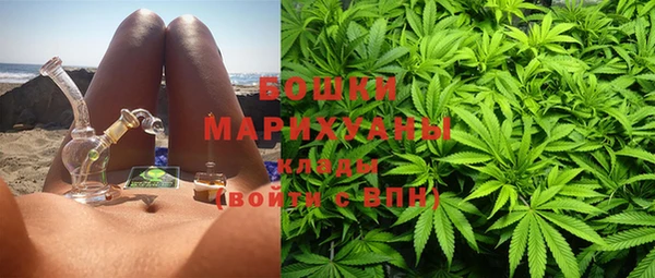 дмт Арсеньев