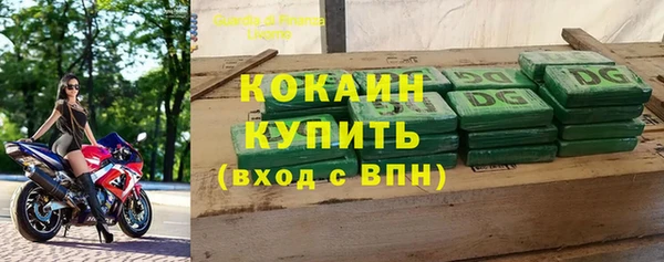 дмт Арсеньев