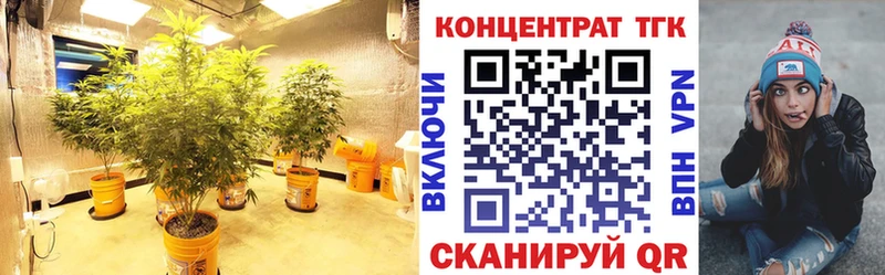 ТГК гашишное масло  blacksprut рабочий сайт  Тамбов 