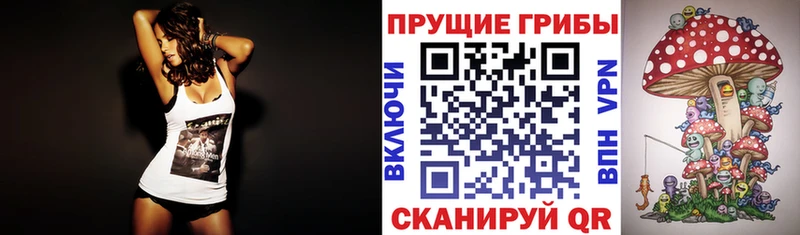 Галлюциногенные грибы GOLDEN TEACHER  сколько стоит  Тамбов 